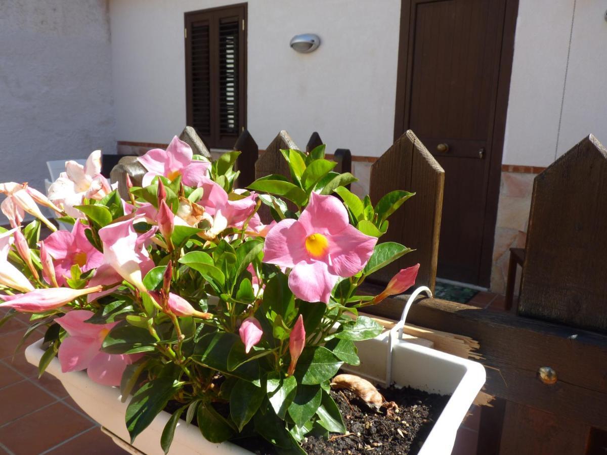 Villa Rosa Luxury Apartment Монделло Екстер'єр фото